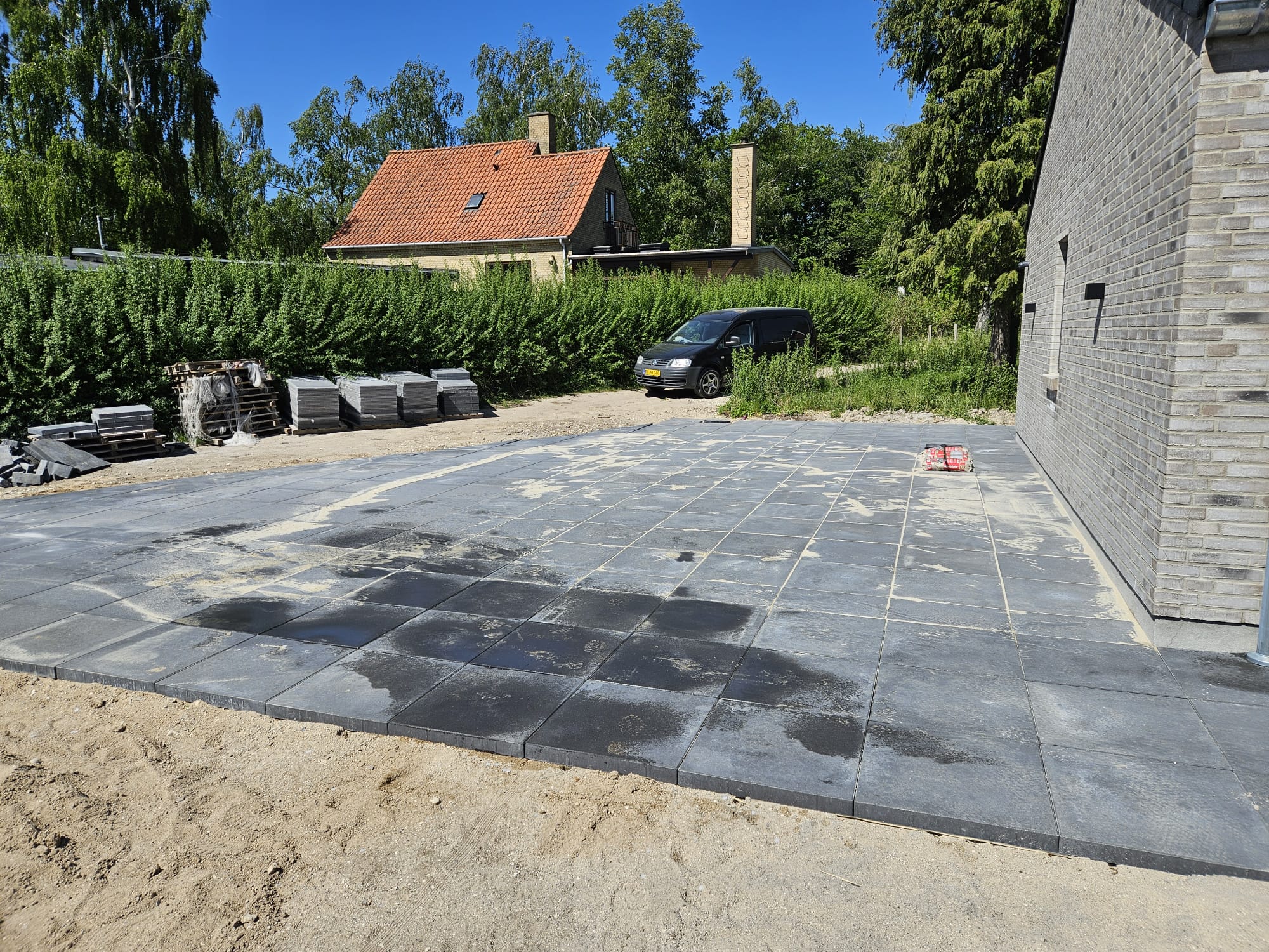 Træpleje Projekt 5