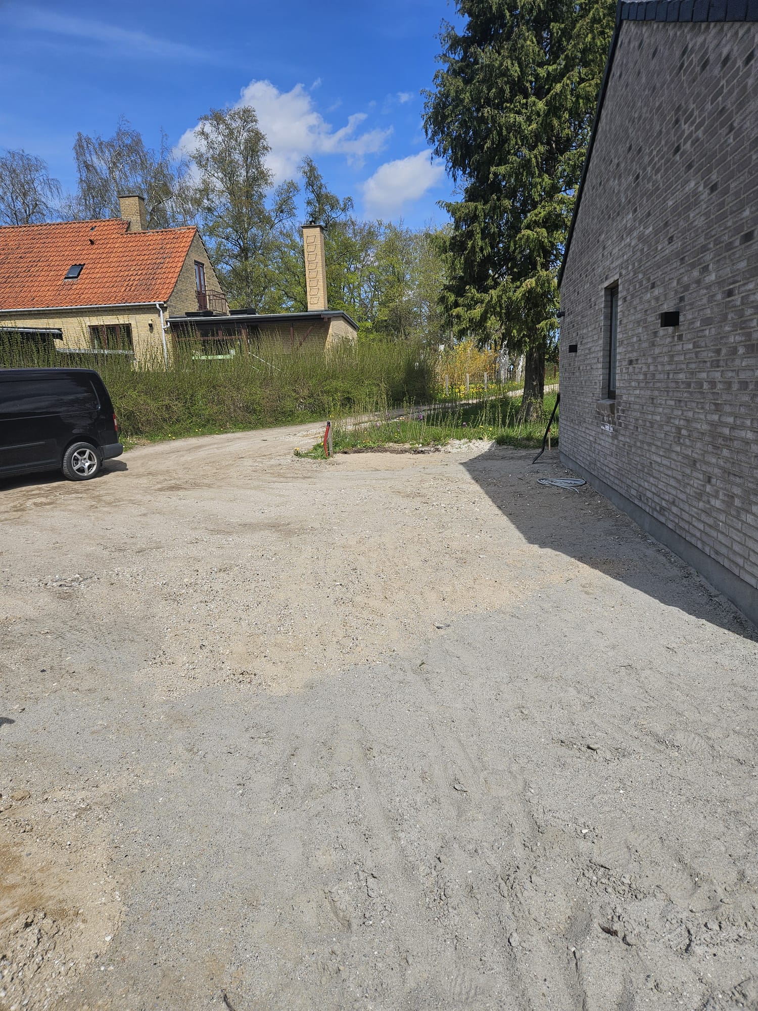 Træpleje Projekt 5