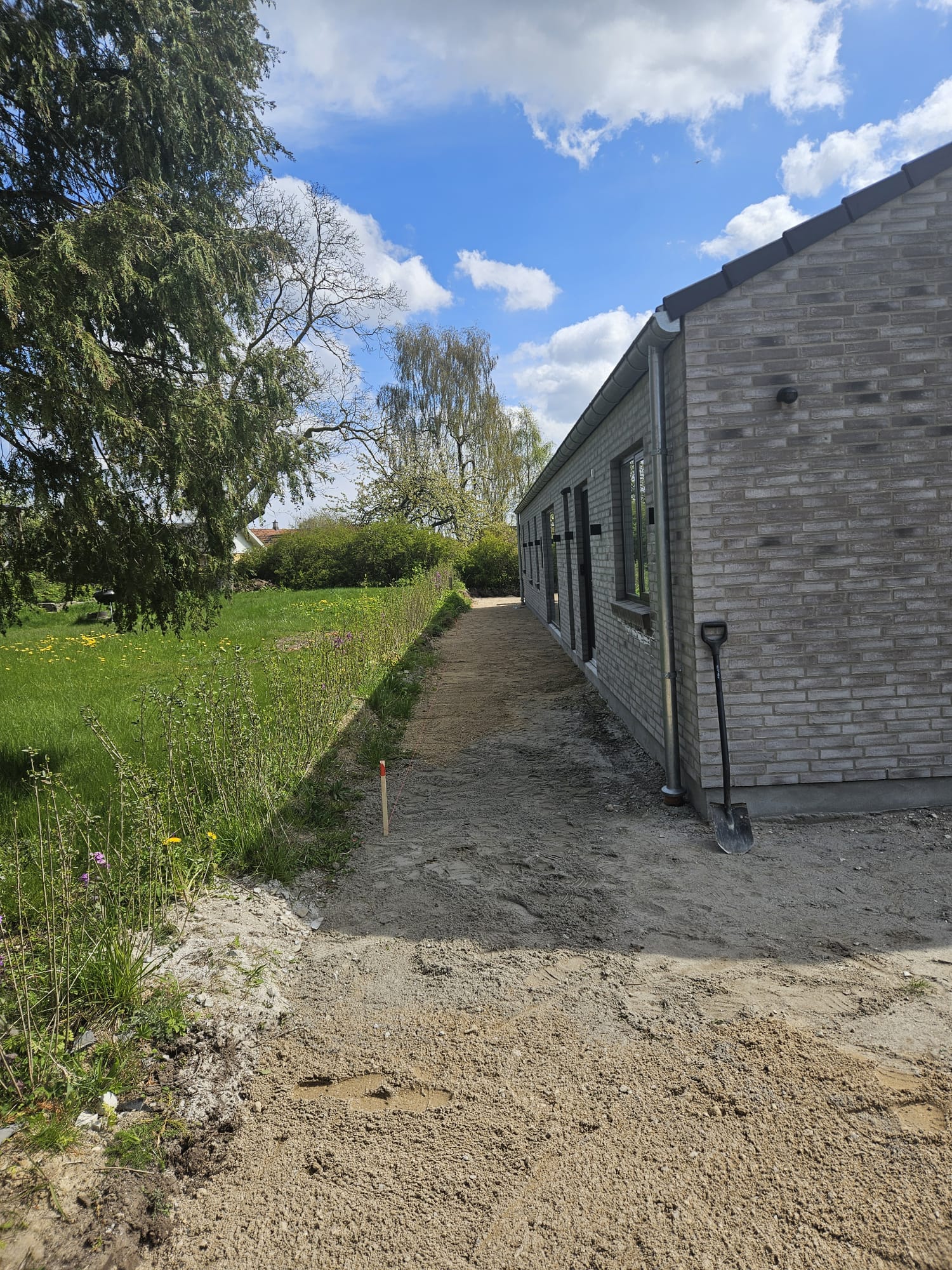 Træpleje Projekt 5